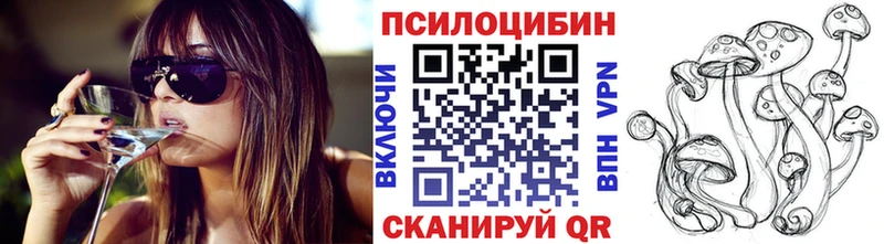 это клад  omg tor  Новопавловск  где можно купить наркотик  Галлюциногенные грибы Psilocybe 